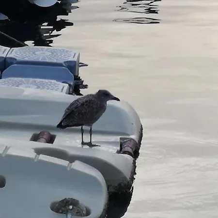 Casa Di Gio - بيت للعطل ألغيرو