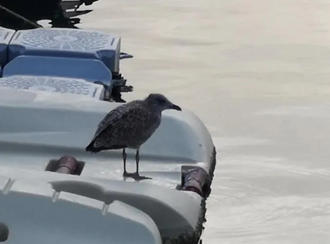 Casa Di Gio - 度假居 阿尔盖罗